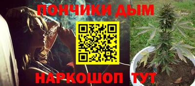 прущие грибы Гусиноозёрск