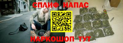 прущие грибы Гусиноозёрск