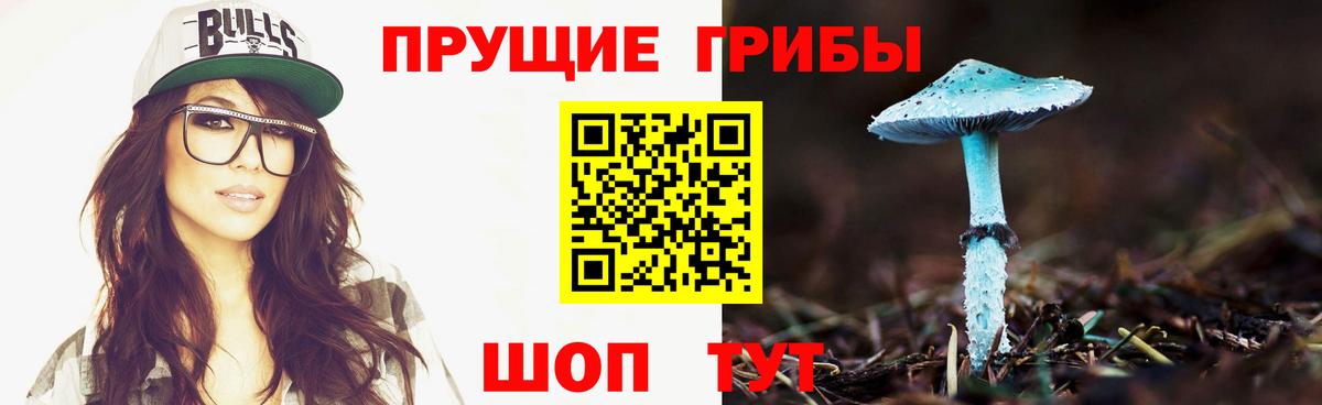 Галлюциногенные грибы Psilocybe Екатеринбург