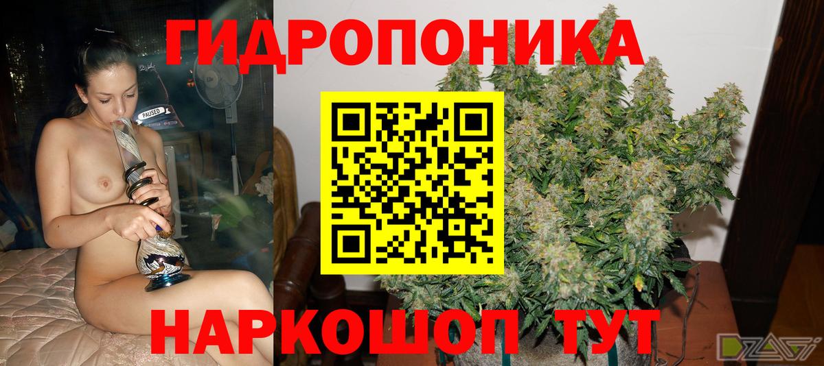 Каннабис Bruce Banner Екатеринбург